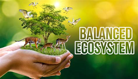 Eco: A Game Where You Learn About Sustainability and Ecosystem Balance!