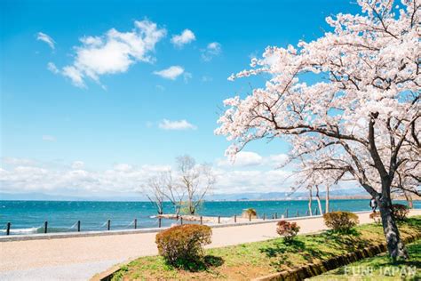 滋賀県 観光 日帰り ～琵琶湖の風に吹かれながら歴史を感じる旅～